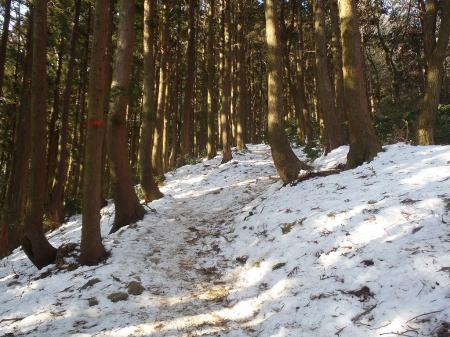 ここからいきなり凍った雪道になったのでアイゼン装着
