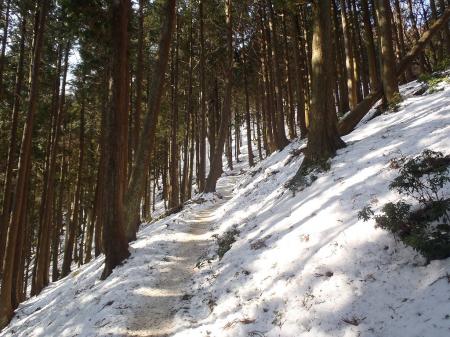 凍った道が続く