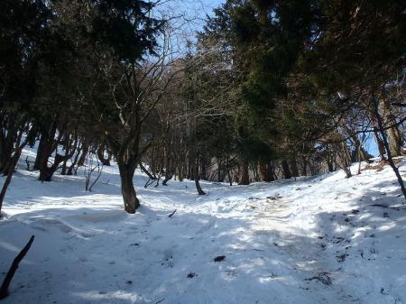 すっかり雪道になった