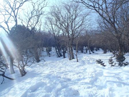 ここから急登の直登