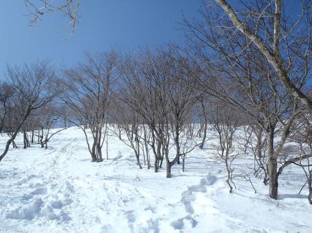 樹林がなくなりかなりいい感じになってきた