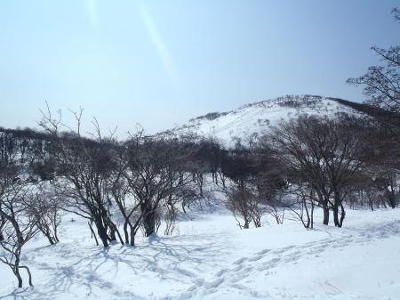 見えるピークが藤原岳山頂