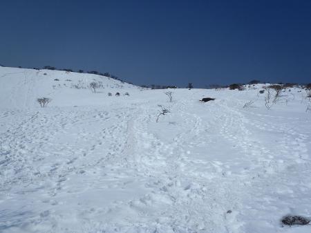 いい感じの青と雪景色