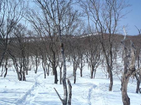 向こう側のピークへ向かう