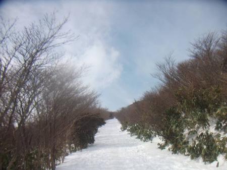 少し青空がでてきたかな