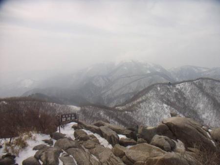 展望はイマイチ