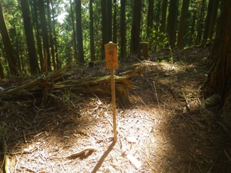 二町と書かれたプレートがあるけど、丁石になるのかな！？どちらにしても今後、このプレートを見失うんだけどね