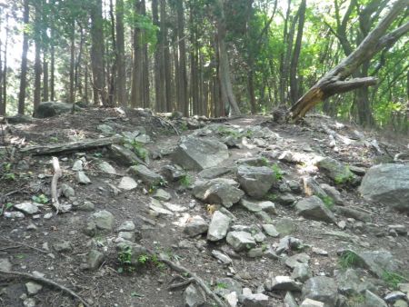 このガレ場のところまで登ってくればちょっとした急登の終わりになる。そこまでしんどくもなかった