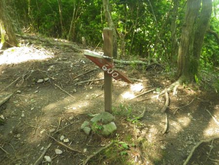 さっきの400Mから次は600Mになっている。登山口からの距離を示しているのか、よくわからなかった