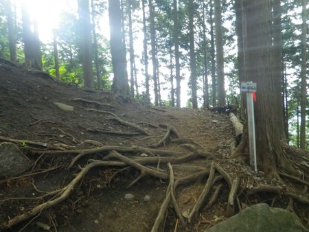 ここで稜線に出て合流した。左側の尾根を登れば山頂に到着する。事前に地図を頭に入れておいたので確認しなくてもわかる