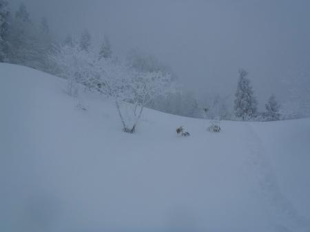 視界はほとんどないし、かなり天気も荒れ模様