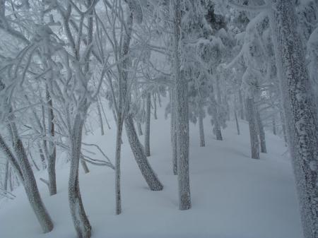 トレースがなくて基本は交代でラッセル続きがはじまる