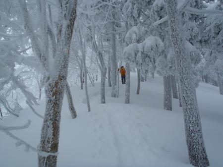 トレースがついてると歩きやすいけど、ずっとラッセルさせてもらうわけにもいかないのでやはり交代制