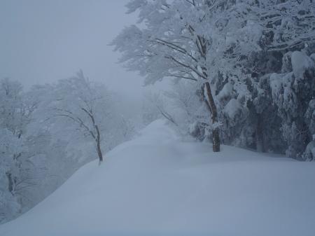 この付近の積雪量もすごい。ワカンつけててもめちゃくちゃハマる