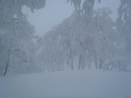 霧氷もすごいけど青空じゃないし、この天気でこれなのが残念。でも今日はモンスターも見れそうだ