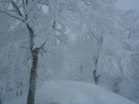 結局、先に進めずに敗退することにした。視界がゼロに等しくて、ここに来るまで方向感覚がおかしくなっていたけどガーミンがあったのでスムーズに戻れた