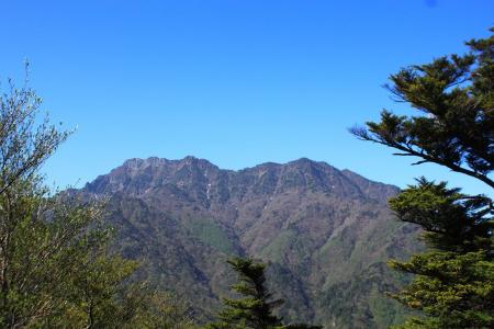これから登る石鎚山が望めた