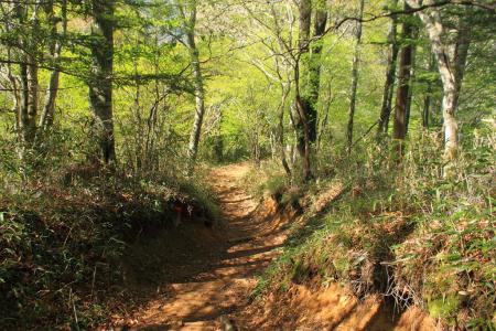 八丁坂を下り、いよいよ登りに