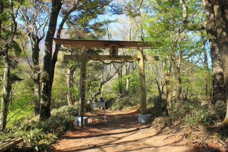 この鳥居はこの後の階段地獄の扉だったｗ