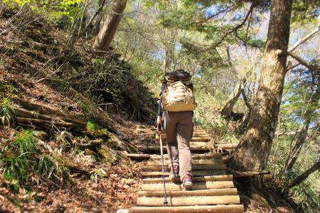 ひたすら続く階段道