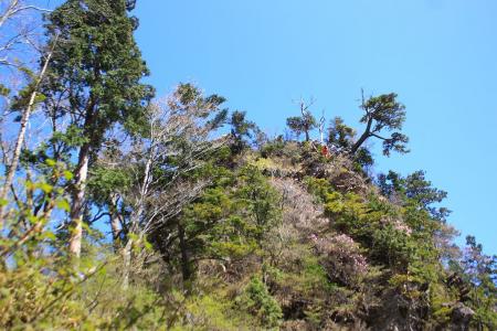 あそこからの下りか！怖そうだけど、う～ん・・・わからなかった