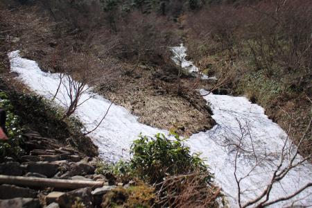 遠くから白いの見えてたけど、やっぱ残雪だった
