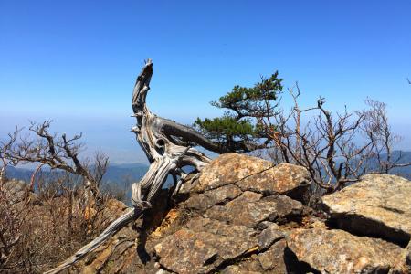 南尖峯は何もなしだった