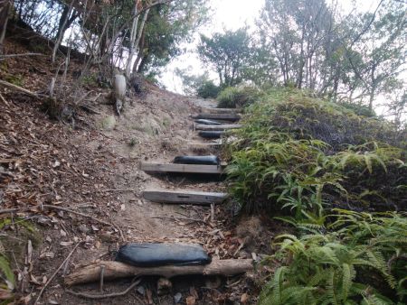 階段はひたすら続く。ペースを乱されそうになるのでゆっくり登っていく