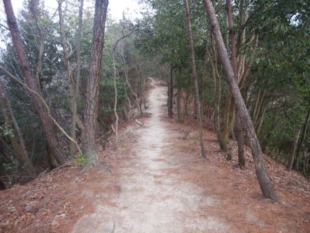 歩きやすい尾根道を進んでいく