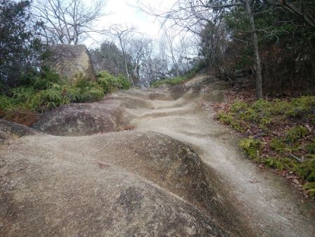 岩場の道になるのでこの付近から左側に注目しながら登っていく