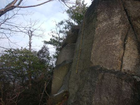 これ登れるの？というより下れるの？と思いきや意外とすんなり上り下りできた