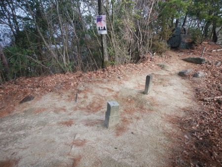 ここに立派な三角点があって地図からしてここが高尾山山頂だけど、山頂看板やプレートなど何もなかった