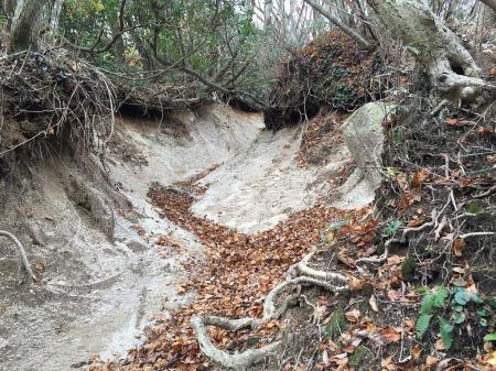 こういうところが時折あり、落ち葉で登りがきついので右へ