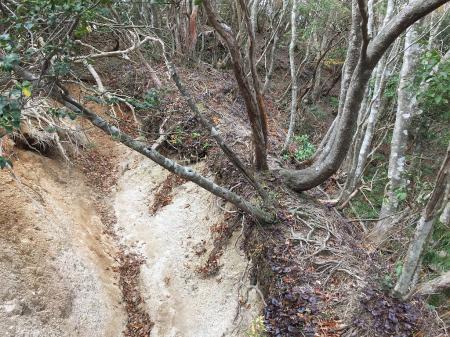 ここを右側を登る