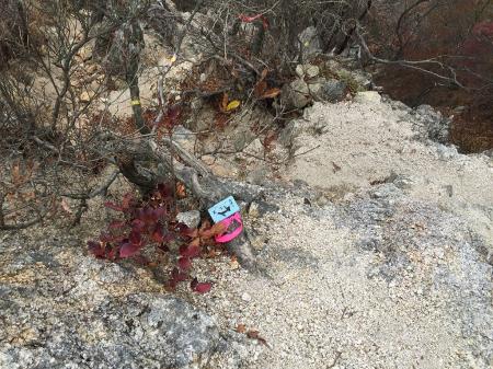 ここ見落としやすいが右に巻く。直進は途中で道が切れていた