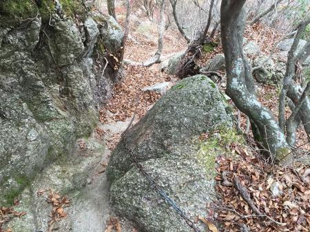 この枯葉がかなり滑りやすかった。わずかな距離なのに下るのに数分かかった