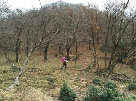 こういった道もある