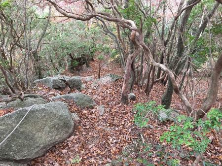 落ち葉の急な下り