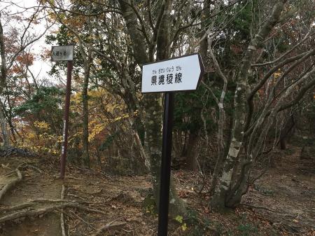 県境稜線。ここから入道ヶ岳への登りが始まっていく