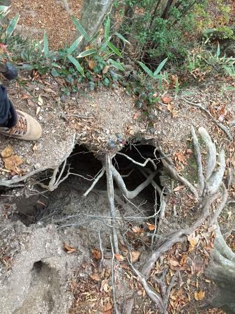途中、登山道で崩壊した箇所があった。落ちると結構痛そうでした