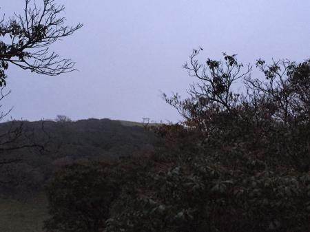 入道ヶ岳ピークの鳥居が見えた