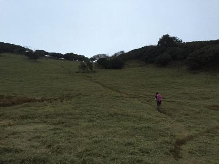 入道ヶ岳ピーク付近は草原地帯