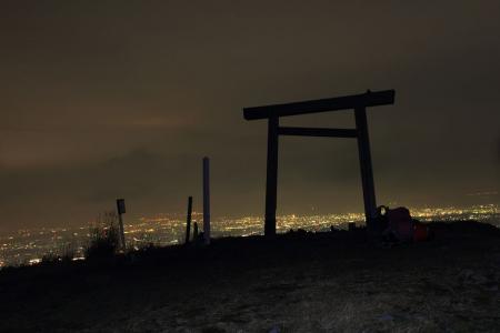 鳥居と夜景が絵になっていた