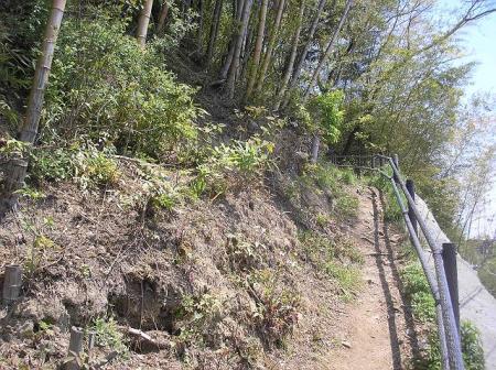 道筋に沿って歩いていく。ここはつづら折れになっている