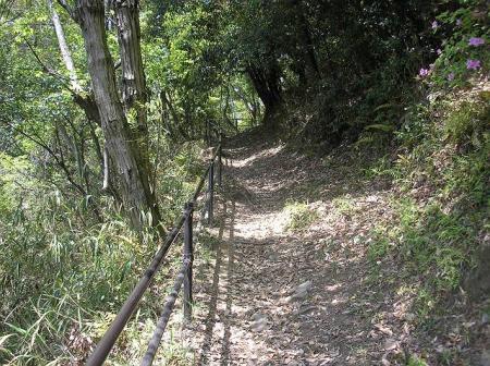 登山道は整備されているの迷いにくいと思われる