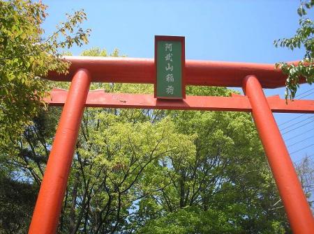 大きな鳥居があった。阿武山も何か祀られてるんだろうね