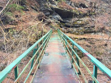 渡ると結構頑丈だった