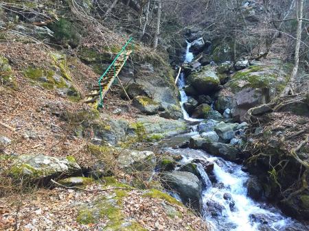 この階段を登って急登の始まりだった