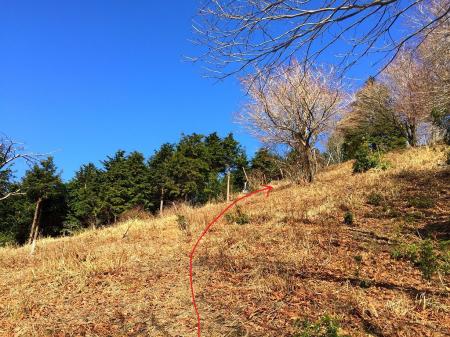 鹿避けネット？が見えるのでそれと並行しながら尾根を登っていく