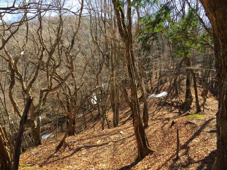 続いて赤ゾレを目指すが、稜線にでてから残雪がちらほら